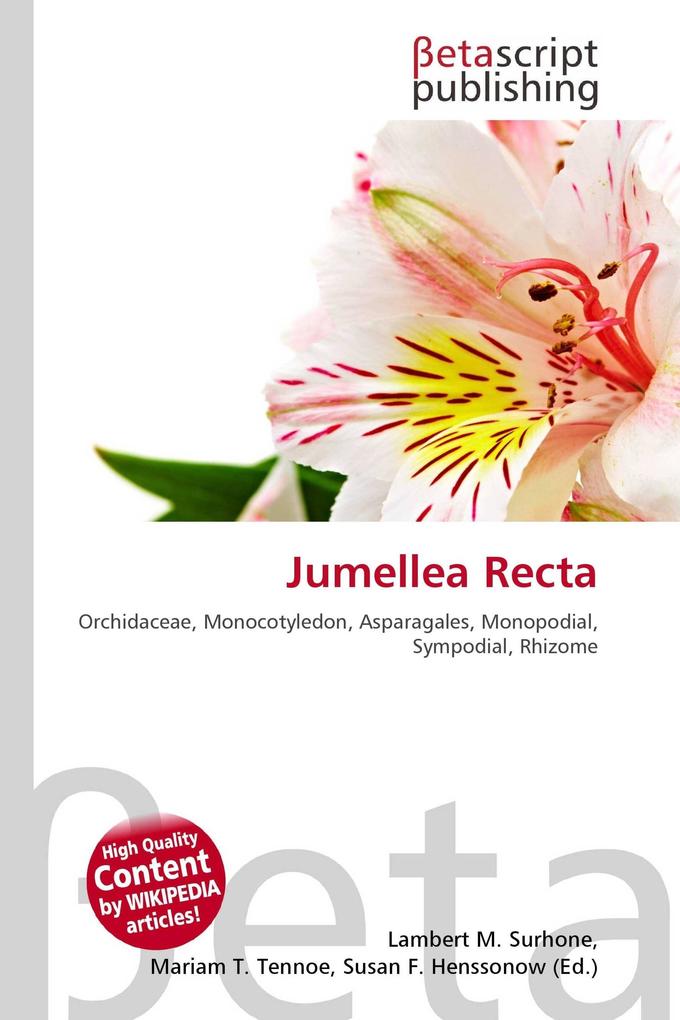 Jumellea Recta