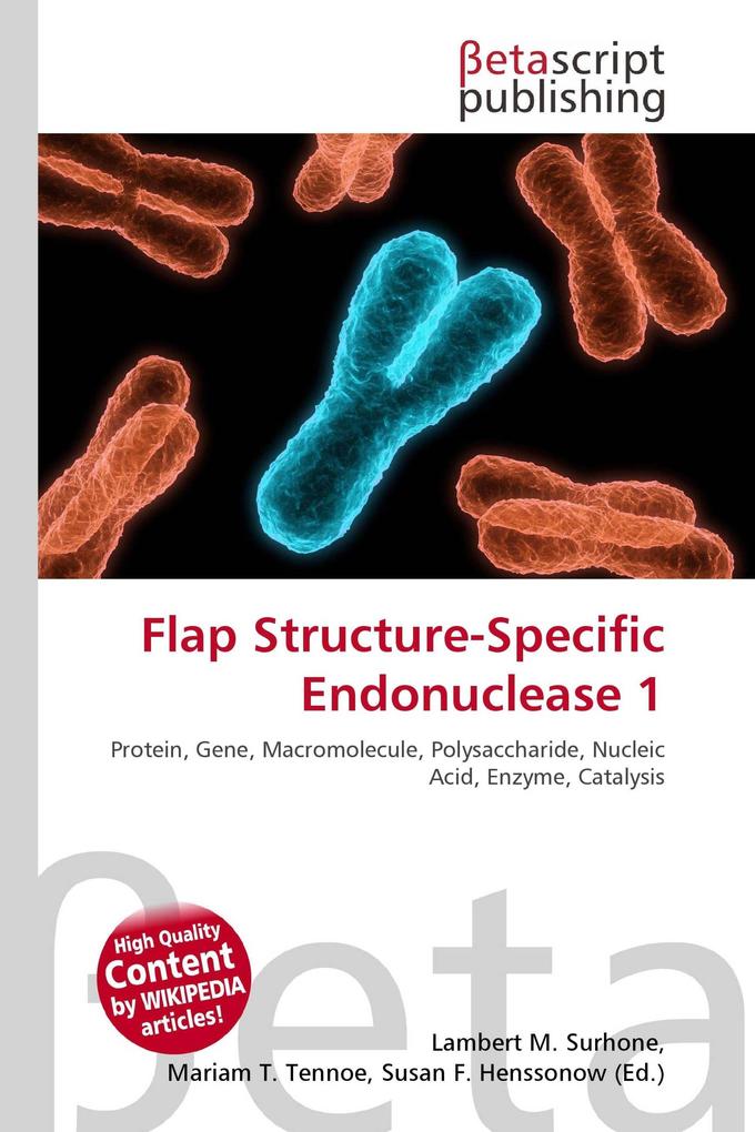 Flap Structure-Specific Endonuclease 1