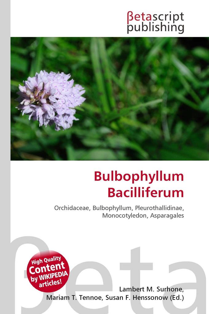 Bulbophyllum Bacilliferum