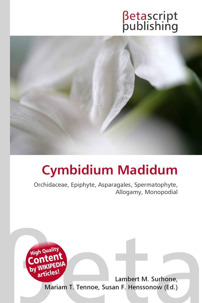 Cymbidium Madidum