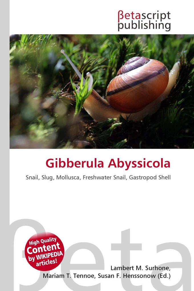 Gibberula Abyssicola