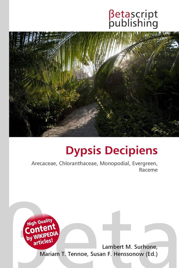 Dypsis Decipiens