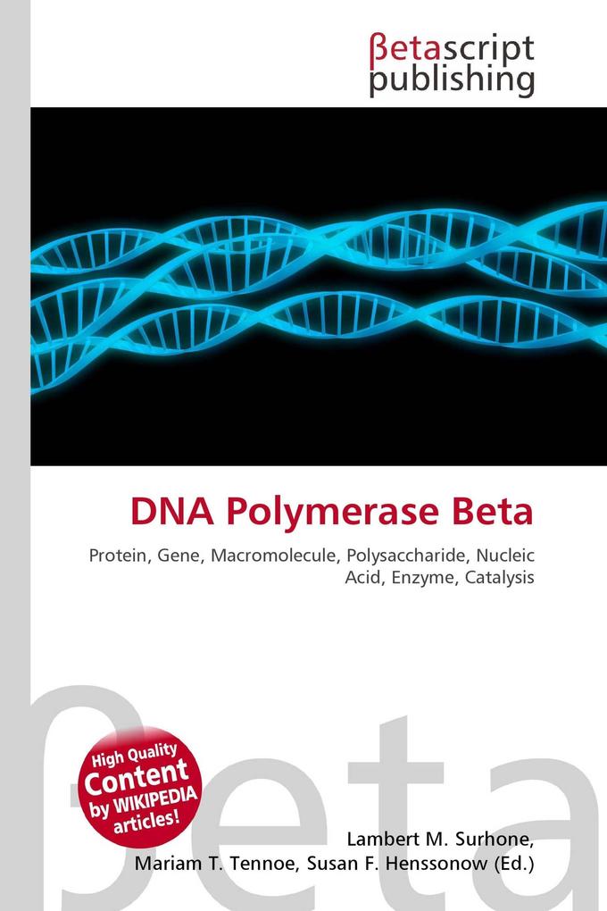 DNA Polymerase Beta