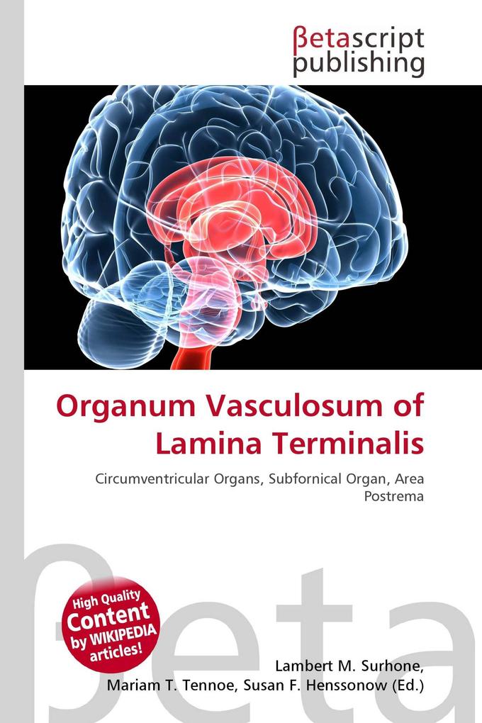 Organum Vasculosum of Lamina Terminalis