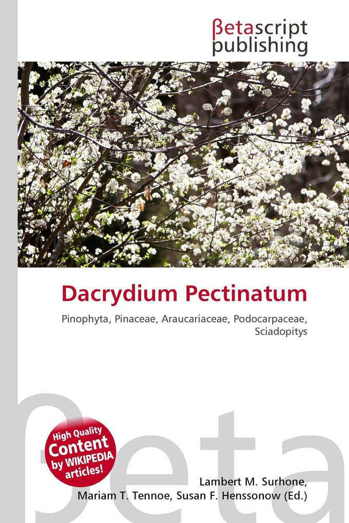 Dacrydium Pectinatum