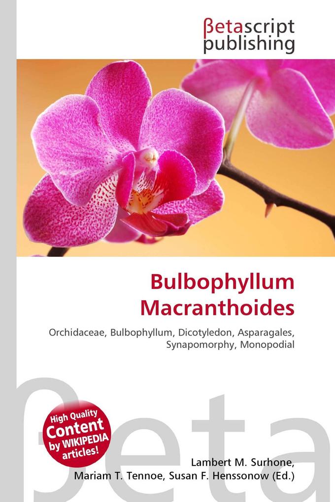 Bulbophyllum Macranthoides