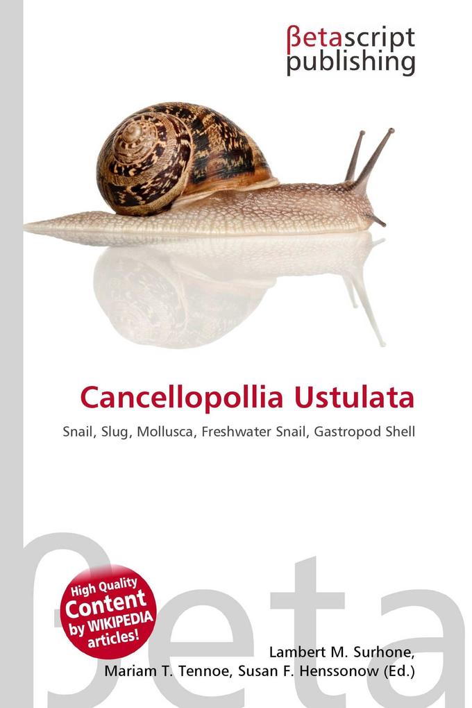 Cancellopollia Ustulata