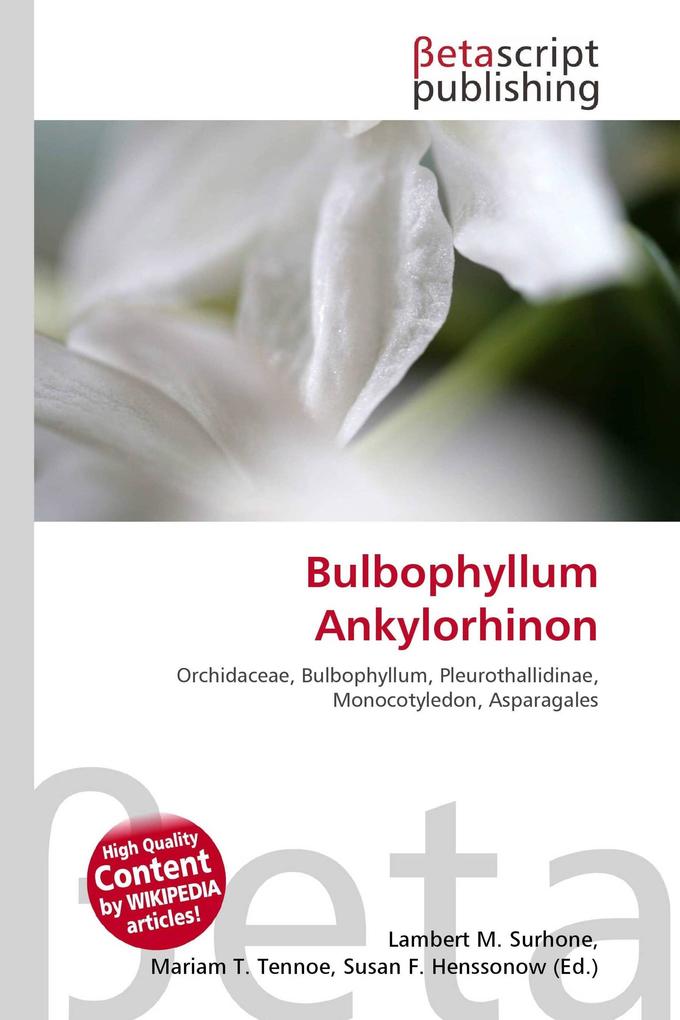 Bulbophyllum Ankylorhinon