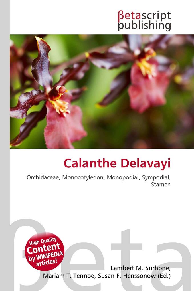 Calanthe Delavayi