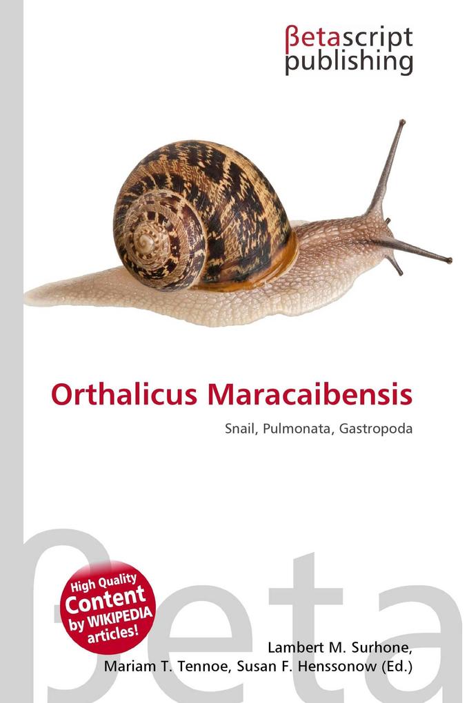 Orthalicus Maracaibensis