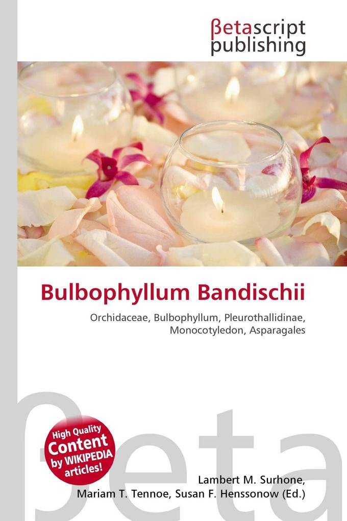 Bulbophyllum Bandischii