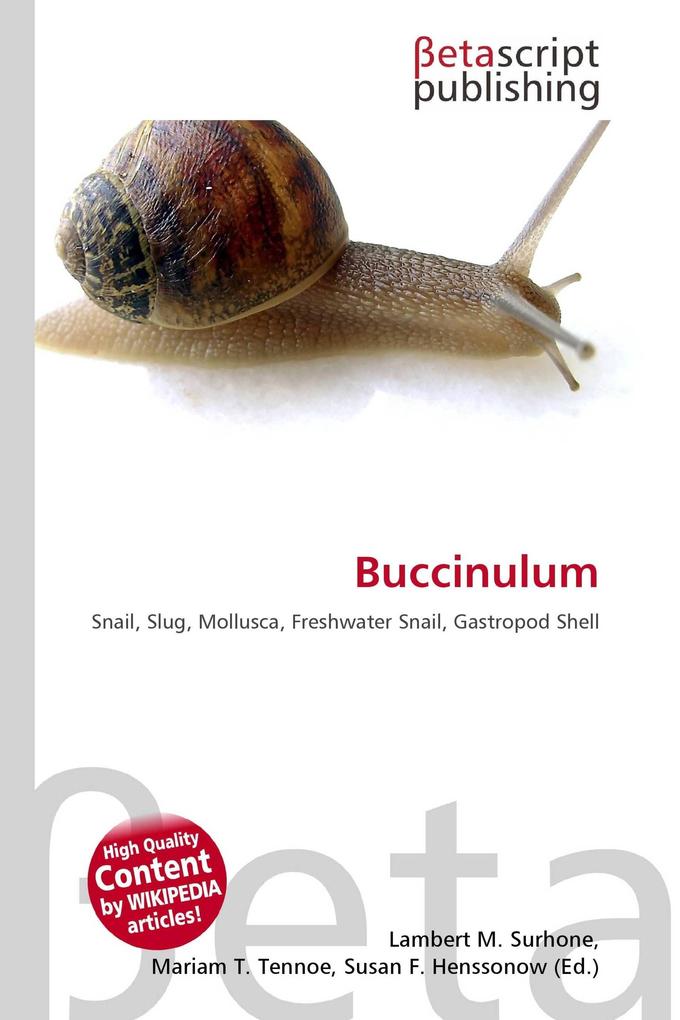 Buccinulum