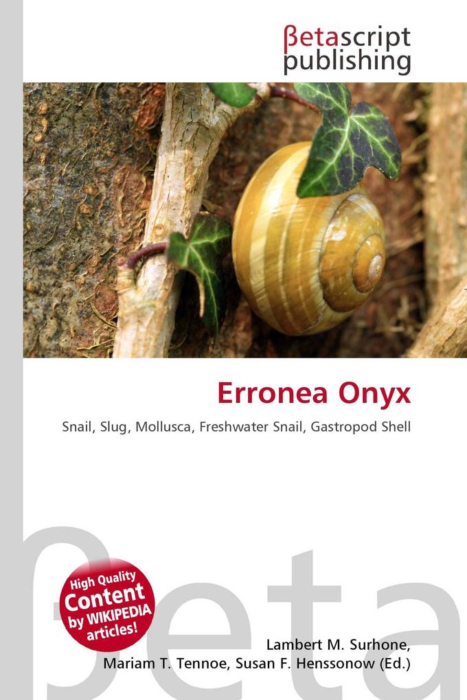 Erronea Onyx