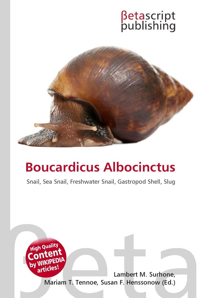 Boucardicus Albocinctus