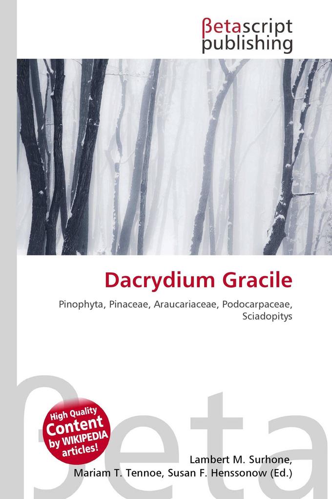 Dacrydium Gracile
