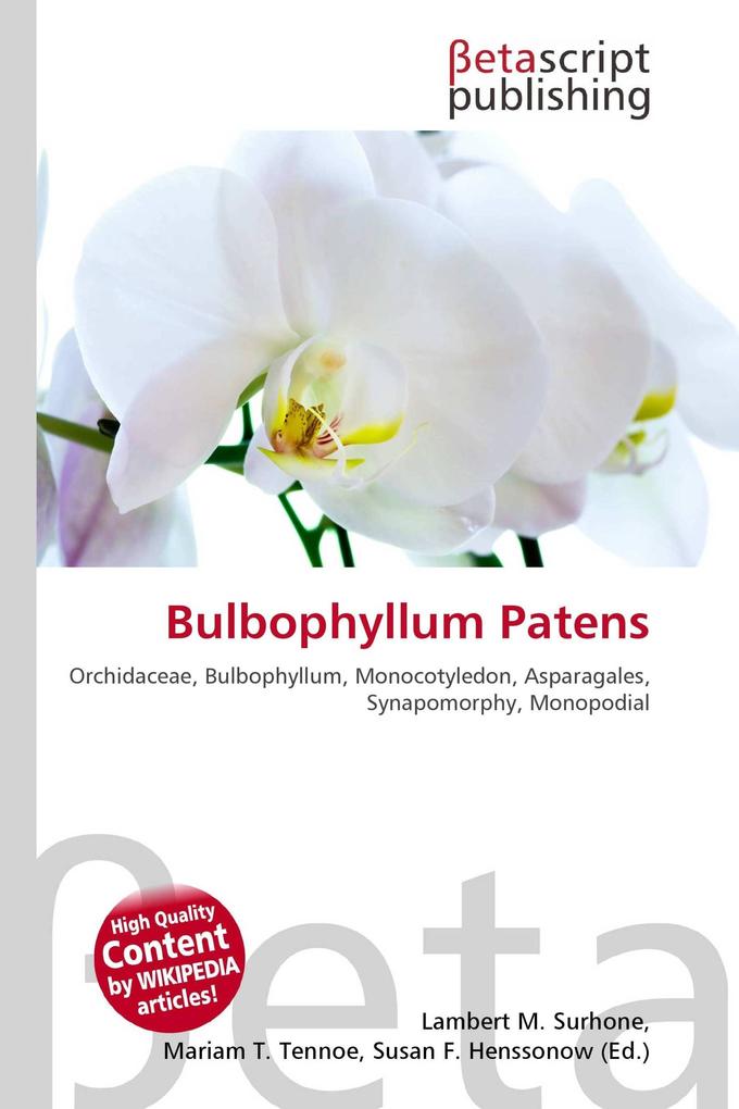 Bulbophyllum Patens