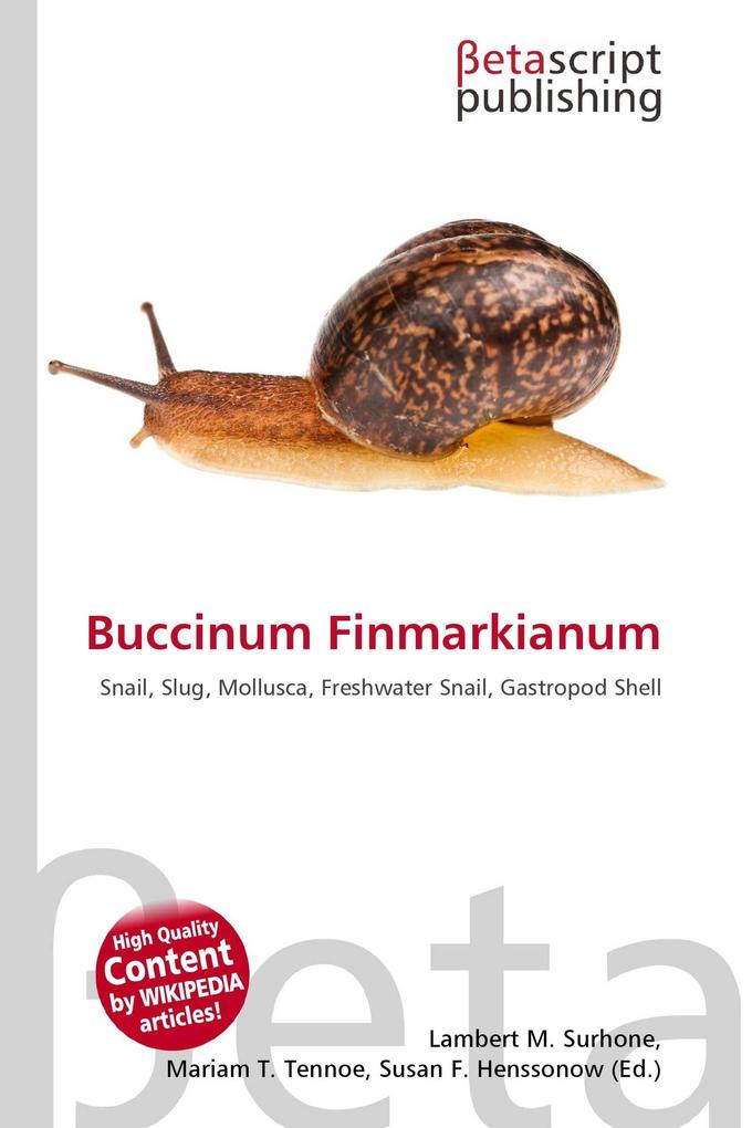 Buccinum Finmarkianum