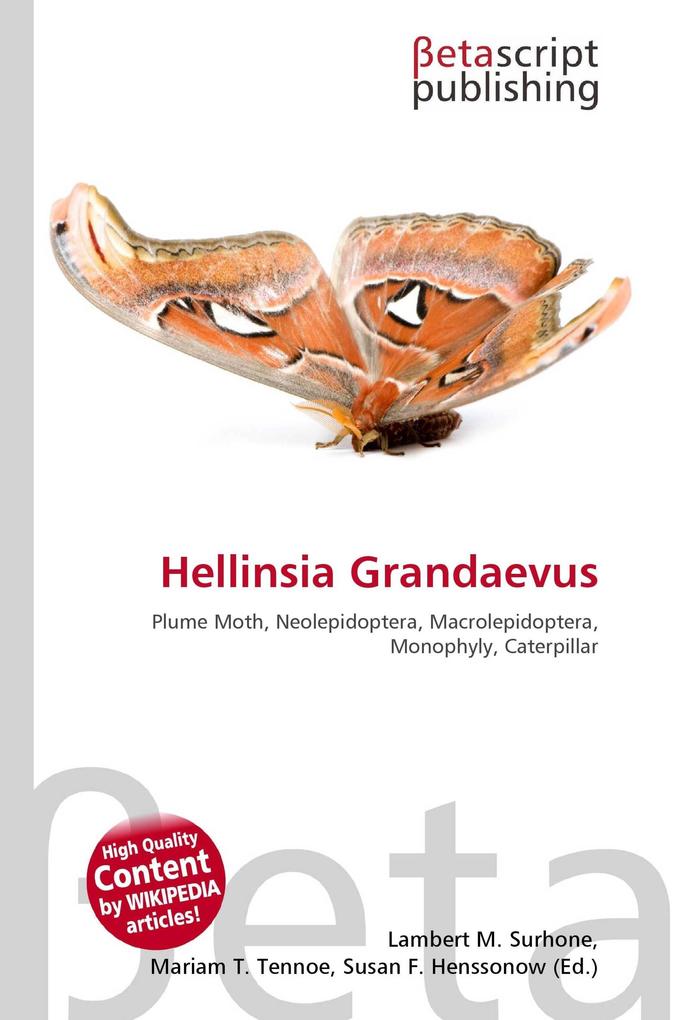 Hellinsia Grandaevus