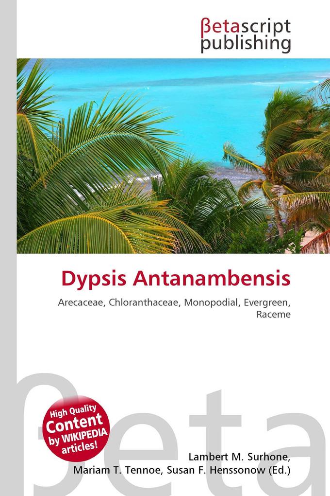 Dypsis Antanambensis