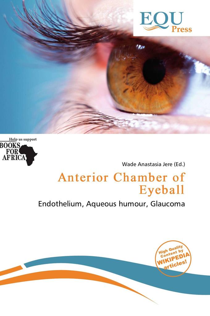 Anterior Chamber of Eyeball