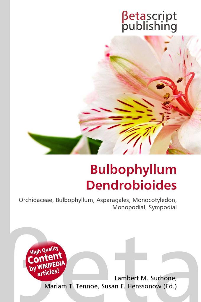 Bulbophyllum Dendrobioides
