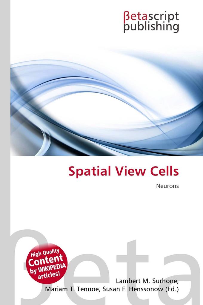 Spatial View Cells