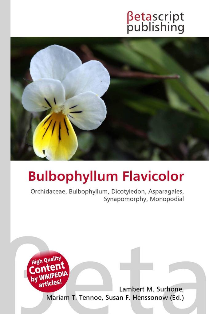 Bulbophyllum Flavicolor