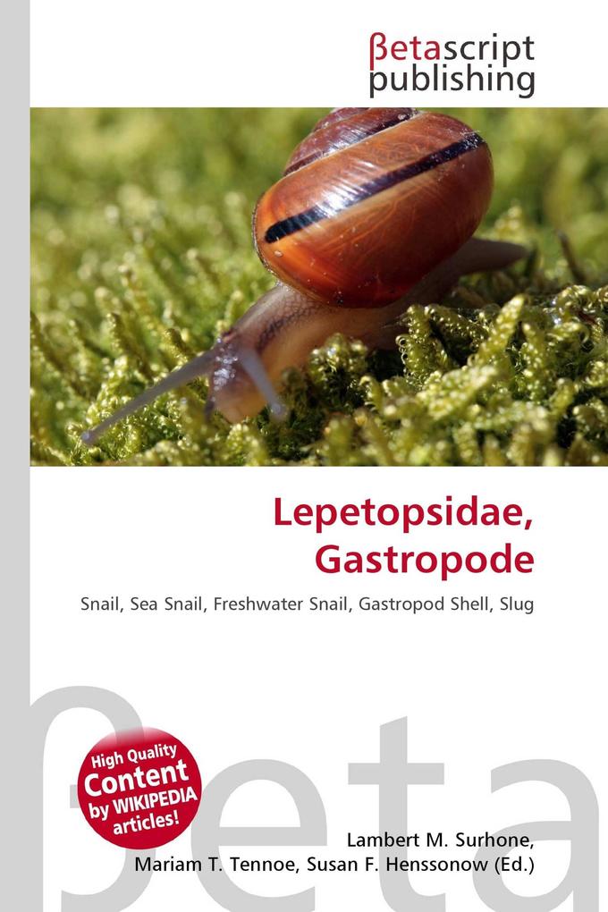 Lepetopsidae Gastropode