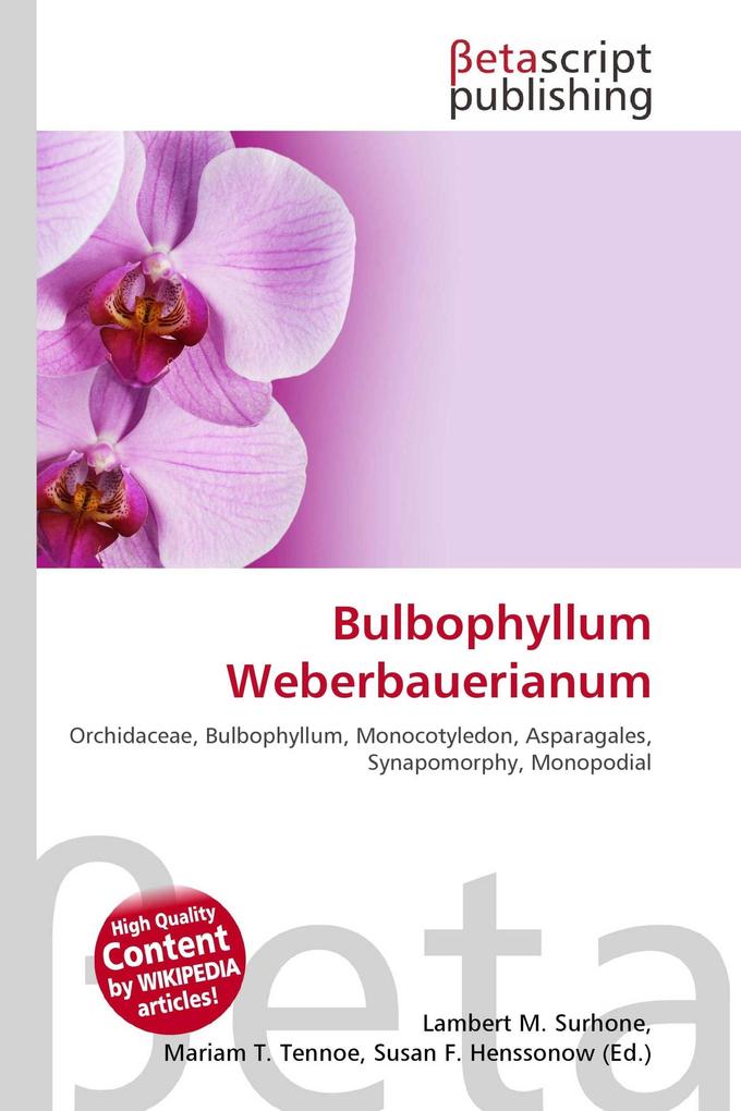 Bulbophyllum Weberbauerianum