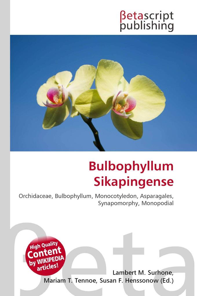 Bulbophyllum Sikapingense