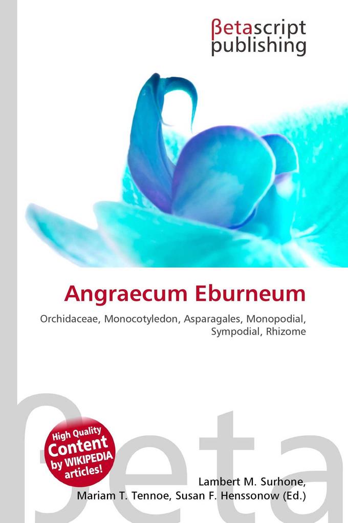 Angraecum Eburneum