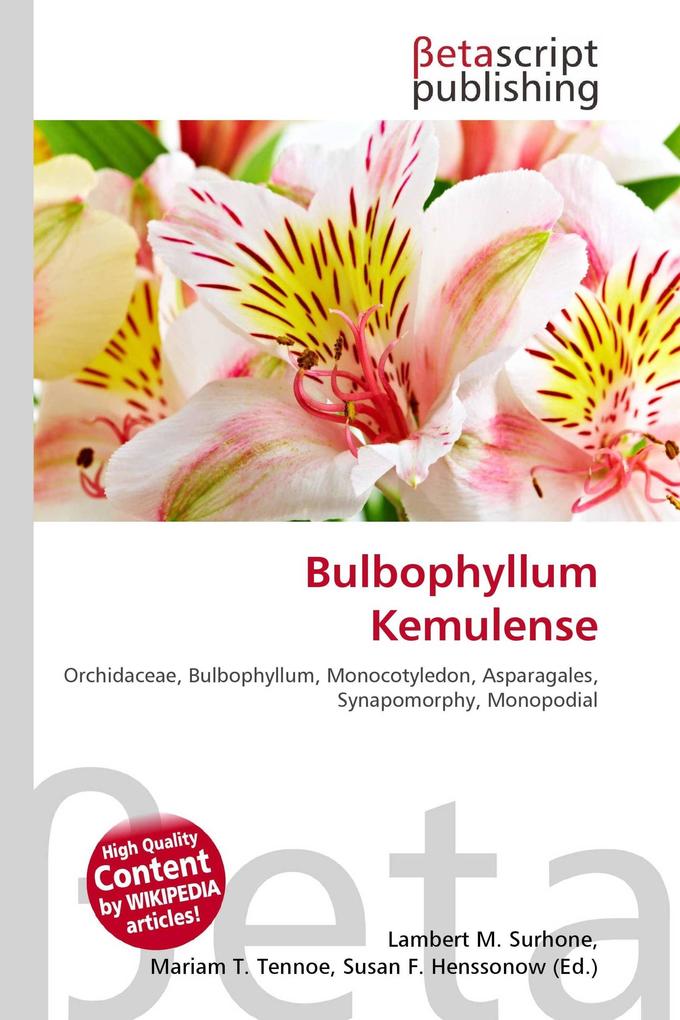 Bulbophyllum Kemulense