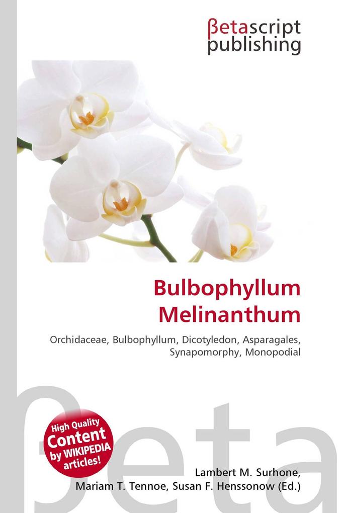 Bulbophyllum Melinanthum