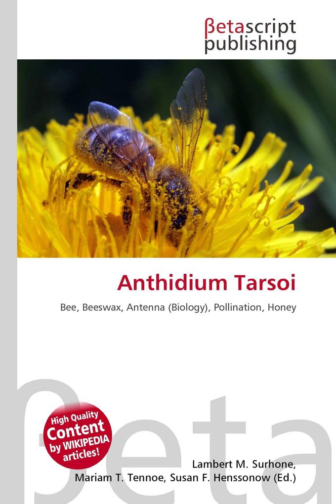 Anthidium Tarsoi