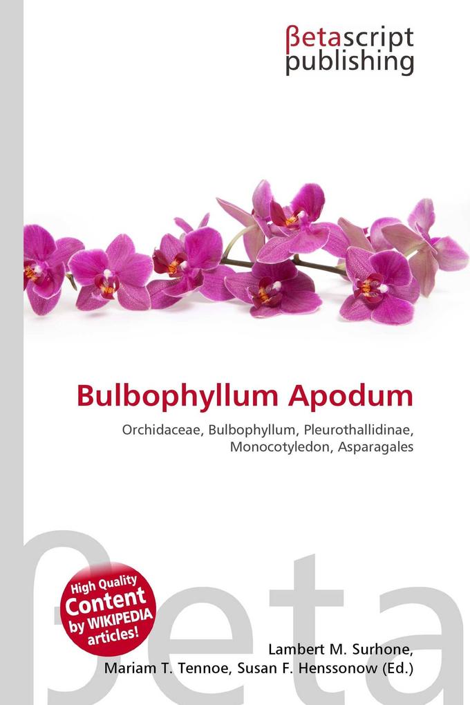 Bulbophyllum Apodum