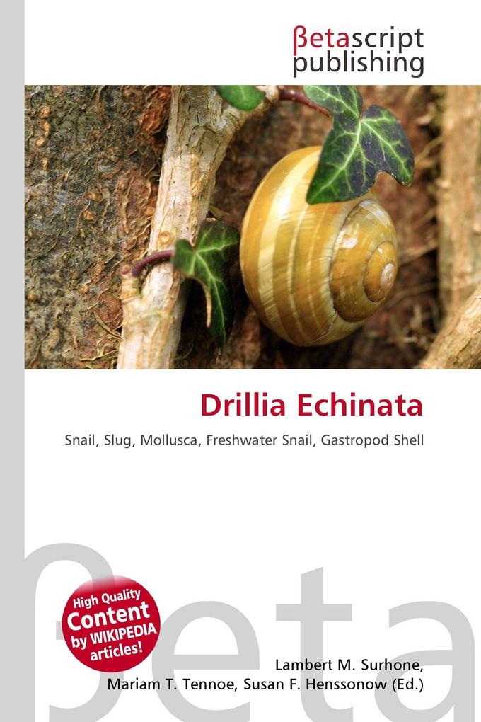 Drillia Echinata