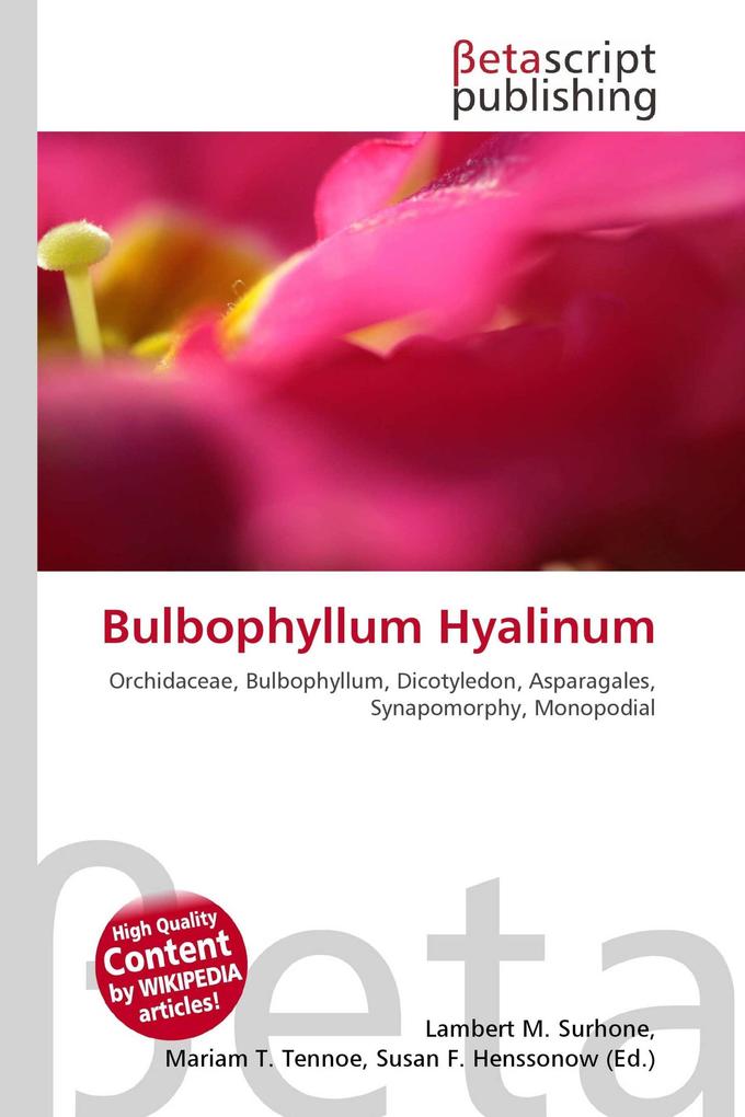 Bulbophyllum Hyalinum