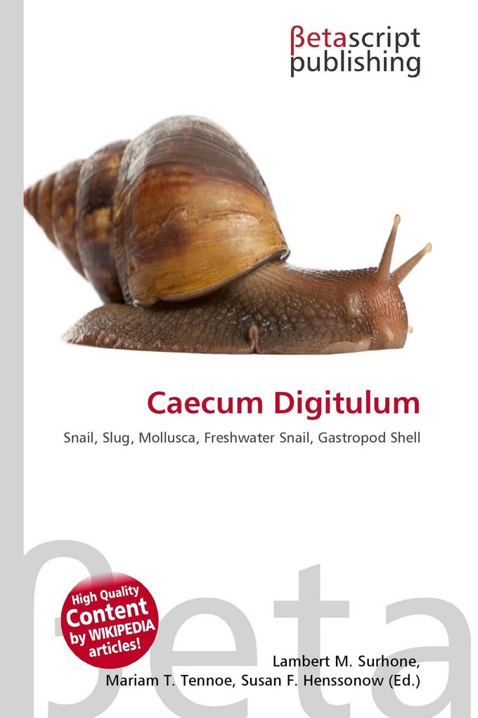 Caecum Digitulum
