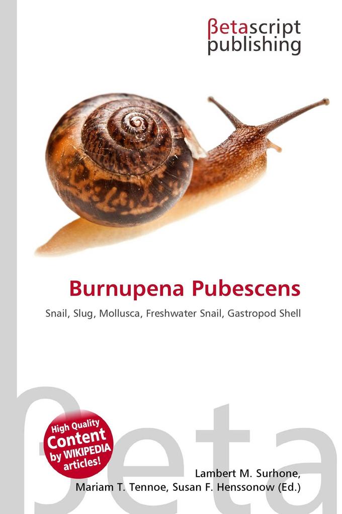 Burnupena Pubescens