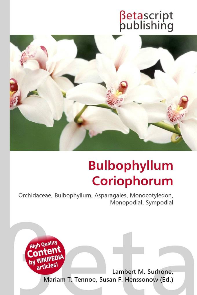 Bulbophyllum Coriophorum