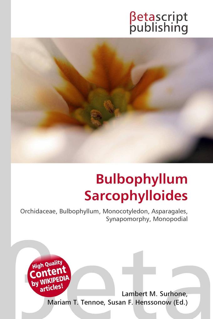 Bulbophyllum Sarcophylloides