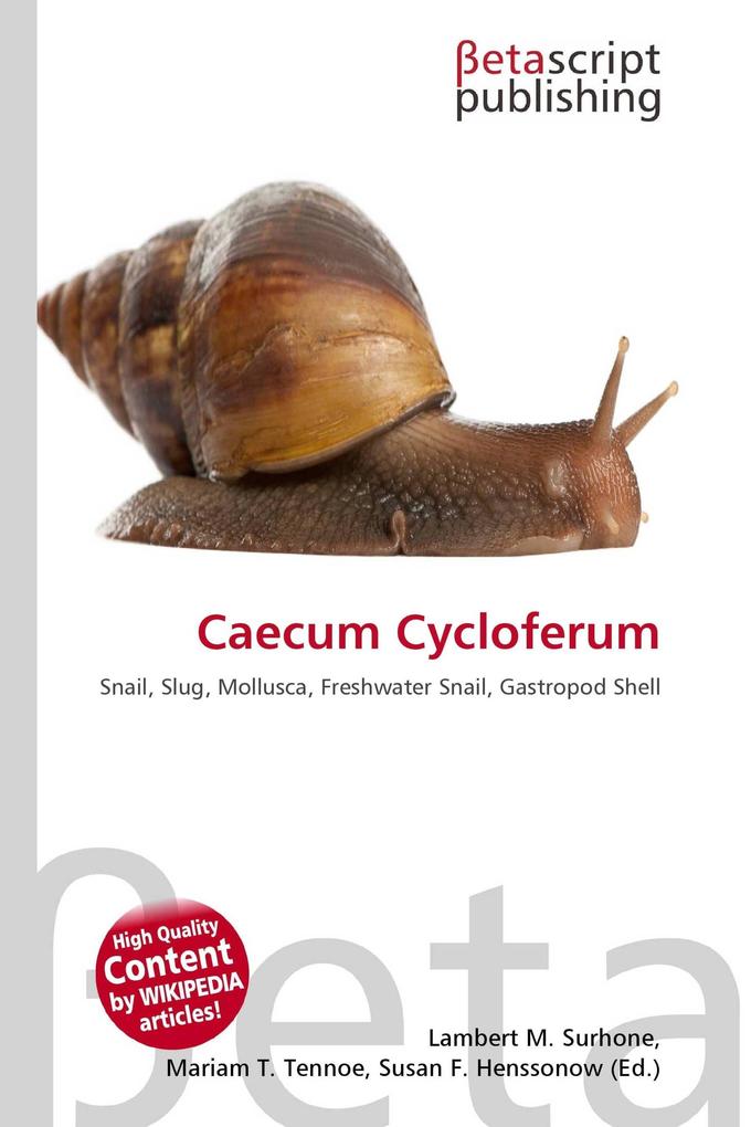 Caecum Cycloferum