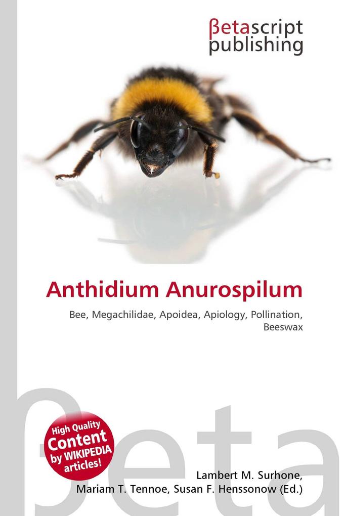 Anthidium Anurospilum