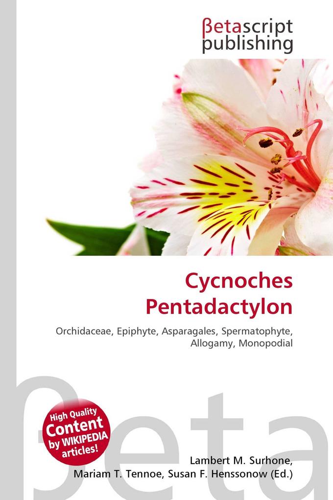 Cycnoches Pentadactylon