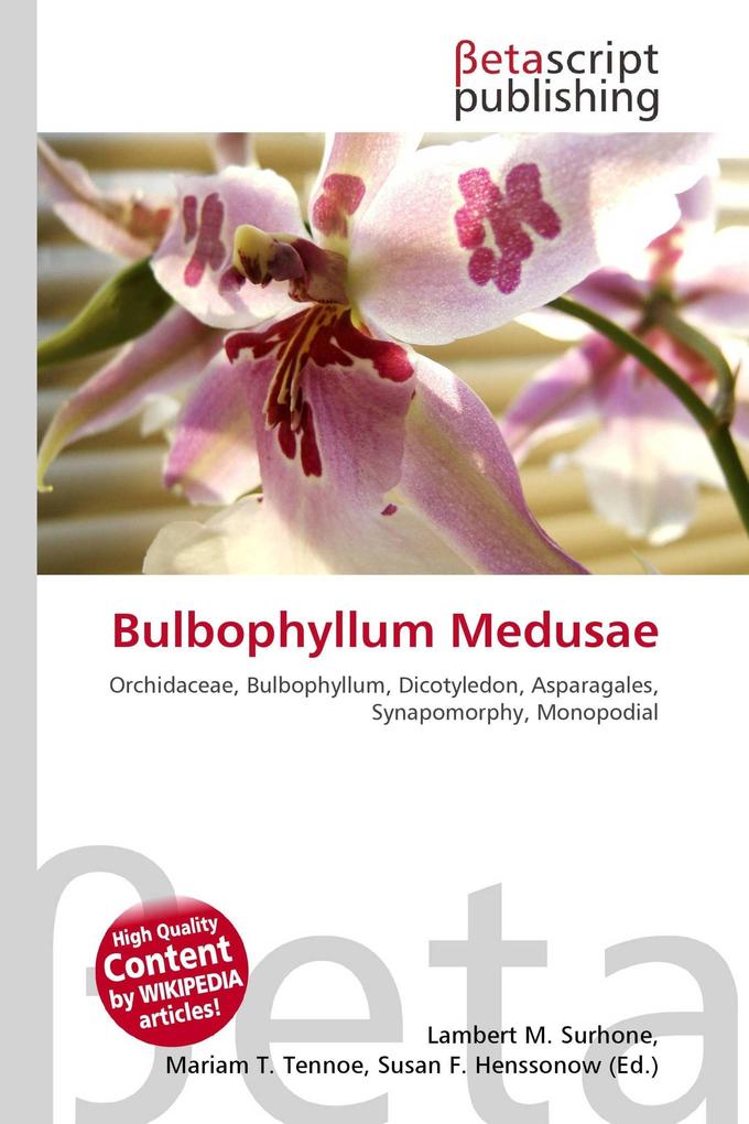 Bulbophyllum Medusae