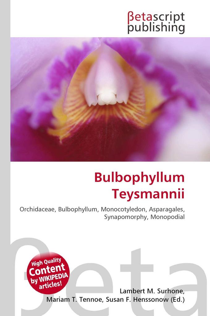 Bulbophyllum Teysmannii