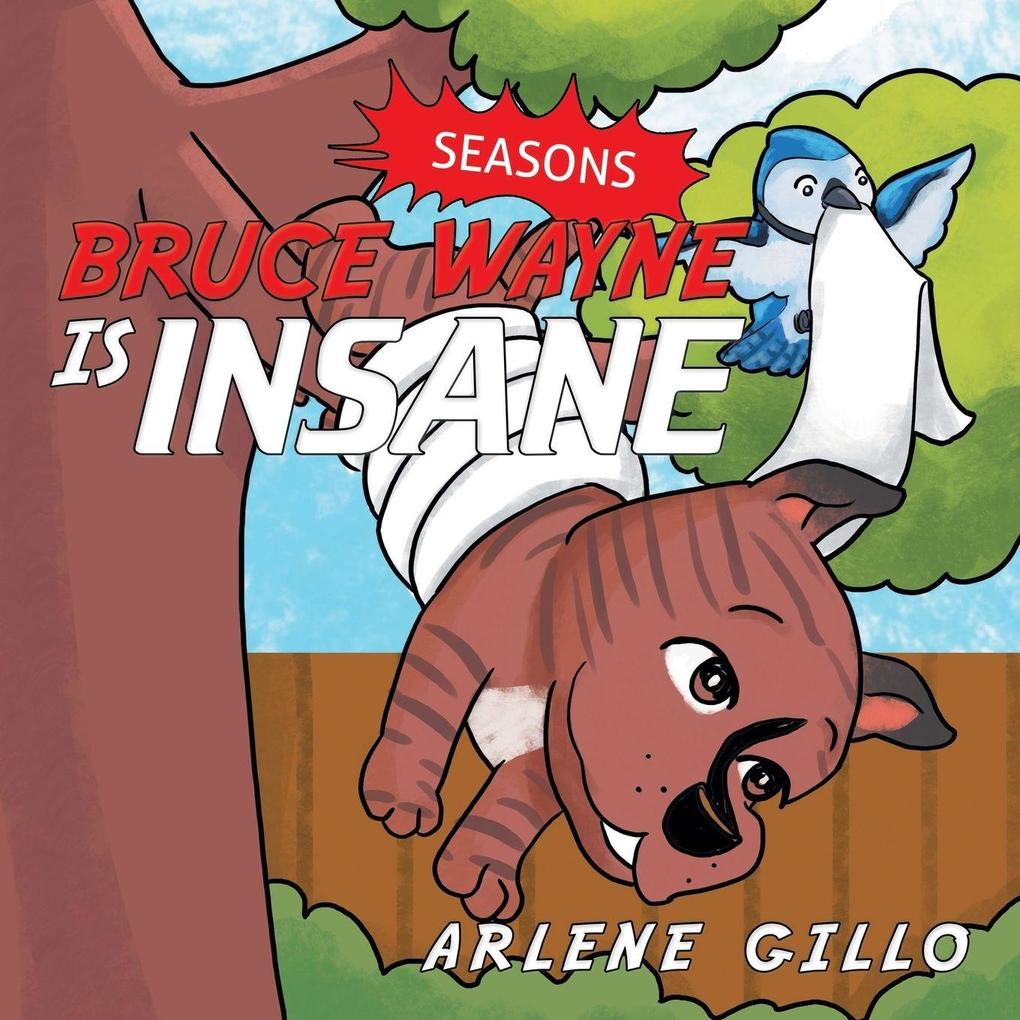 Bruce Wayne Is Insane