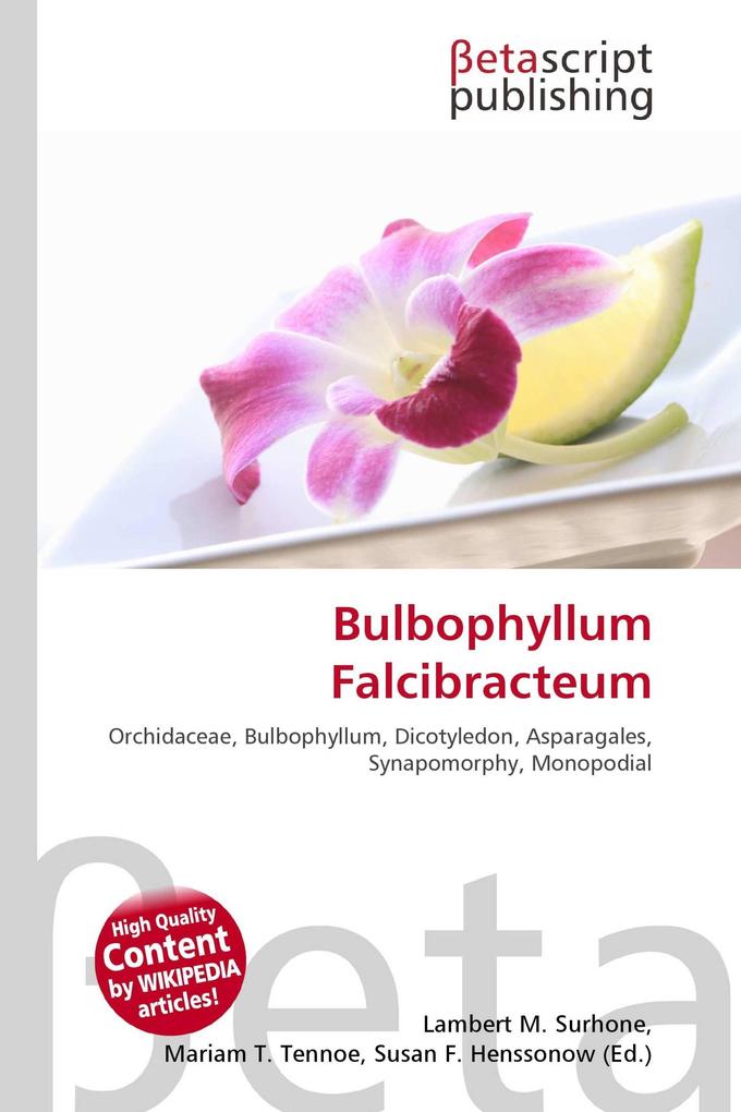 Bulbophyllum Falcibracteum