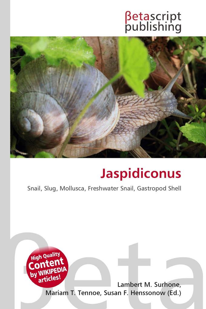 Jaspidiconus