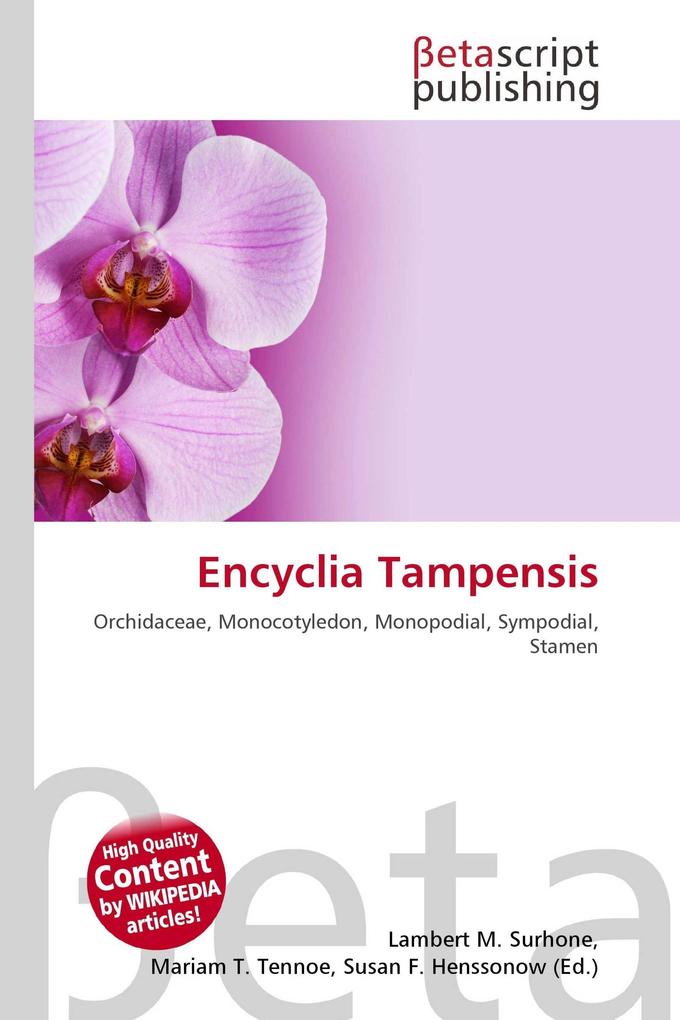 Encyclia Tampensis